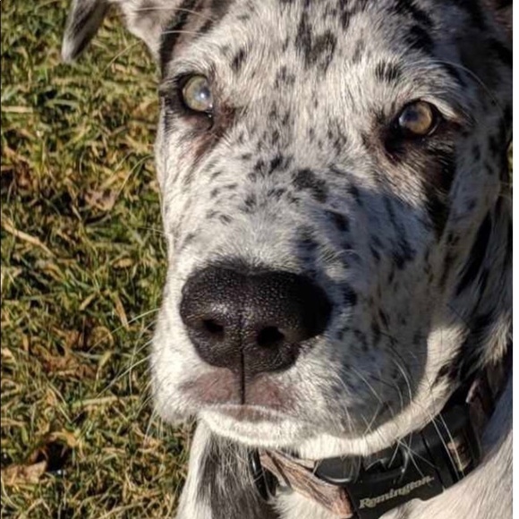 Meet your Posher, Lori. Posh Ambassador April 2019 - Picture 4 of 8